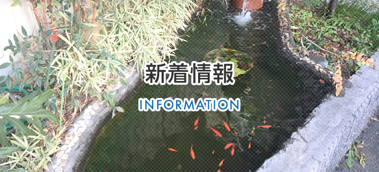金谷郷のひまわり畑（千葉県大網白里市）｜株式会社カンツール｜上 